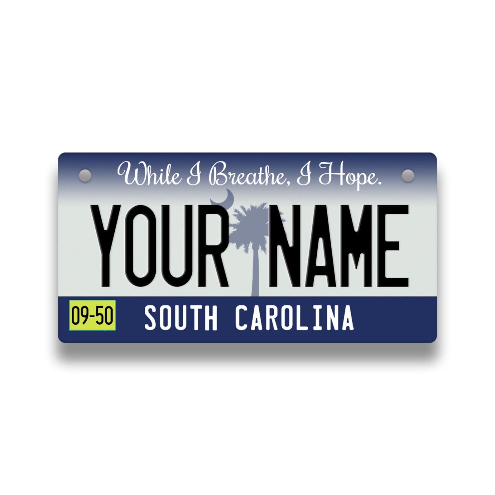 Personalized Custom South Carolina State License Plate Tag Etsy