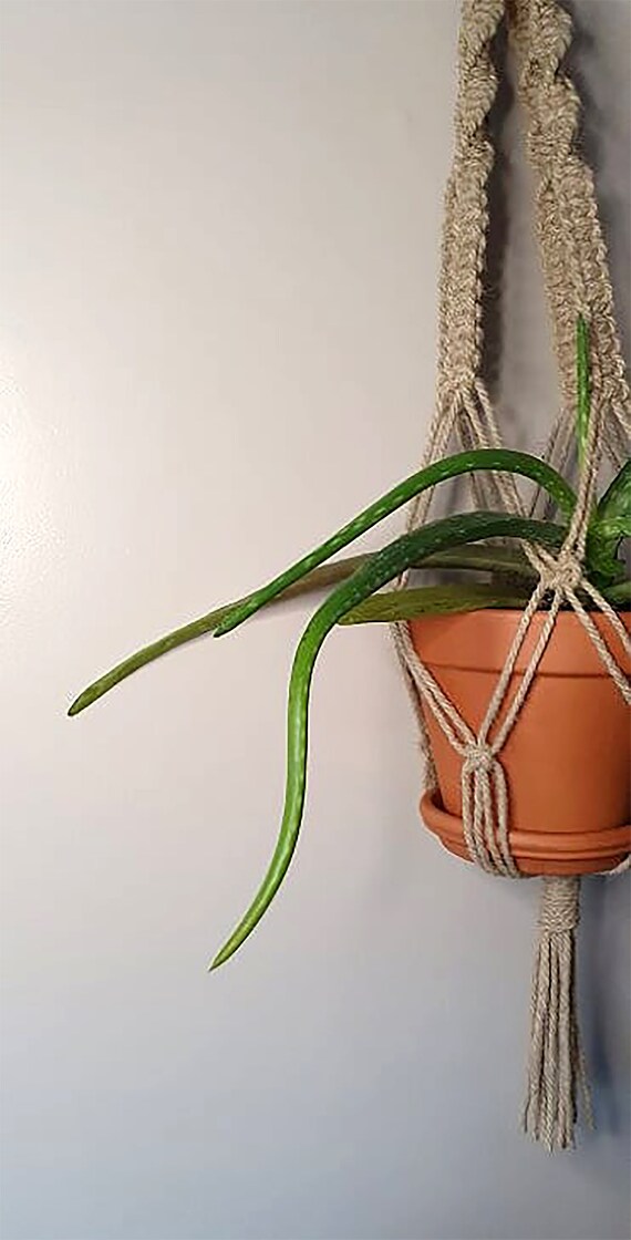 HEMP Macram Plant Hanger + Terracotta Pot. Sustainable Materials, Natural  Living, Biodegradable, Eco Friendly Homeware, Hemp Cord, Vegan. - Etsy