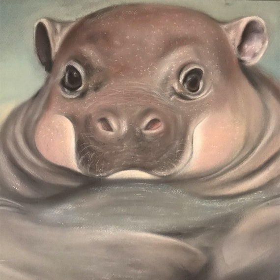 19 5 X 12 5 Baby Hippo Soft Pastel Drawing Etsy 19 5 X 12 5 Baby Hippo Soft Pastel Drawing Etsy