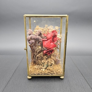 Op de afbeelding: Een glazen doos met een gouden frame en voet, met een gedroogde bloemenarrangement met rode rozen en andere gedroogde bloemen.