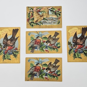 Bamforth Co kerstkaarten Xmas Bird Series - Set van vijf