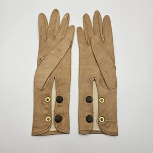 Könnte beinhalten: Ein Paar hellbraune Lederhandschuhe mit Knopfverschluss am Handgelenk. Die Handschuhe haben ein klassisches Design mit einem Schlitz am Handgelenk und sind mit vier dunklen Knöpfen und zwei goldfarbenen Knöpfen verziert. Die Handschuhe werden vor weißem Hintergrund gezeigt.