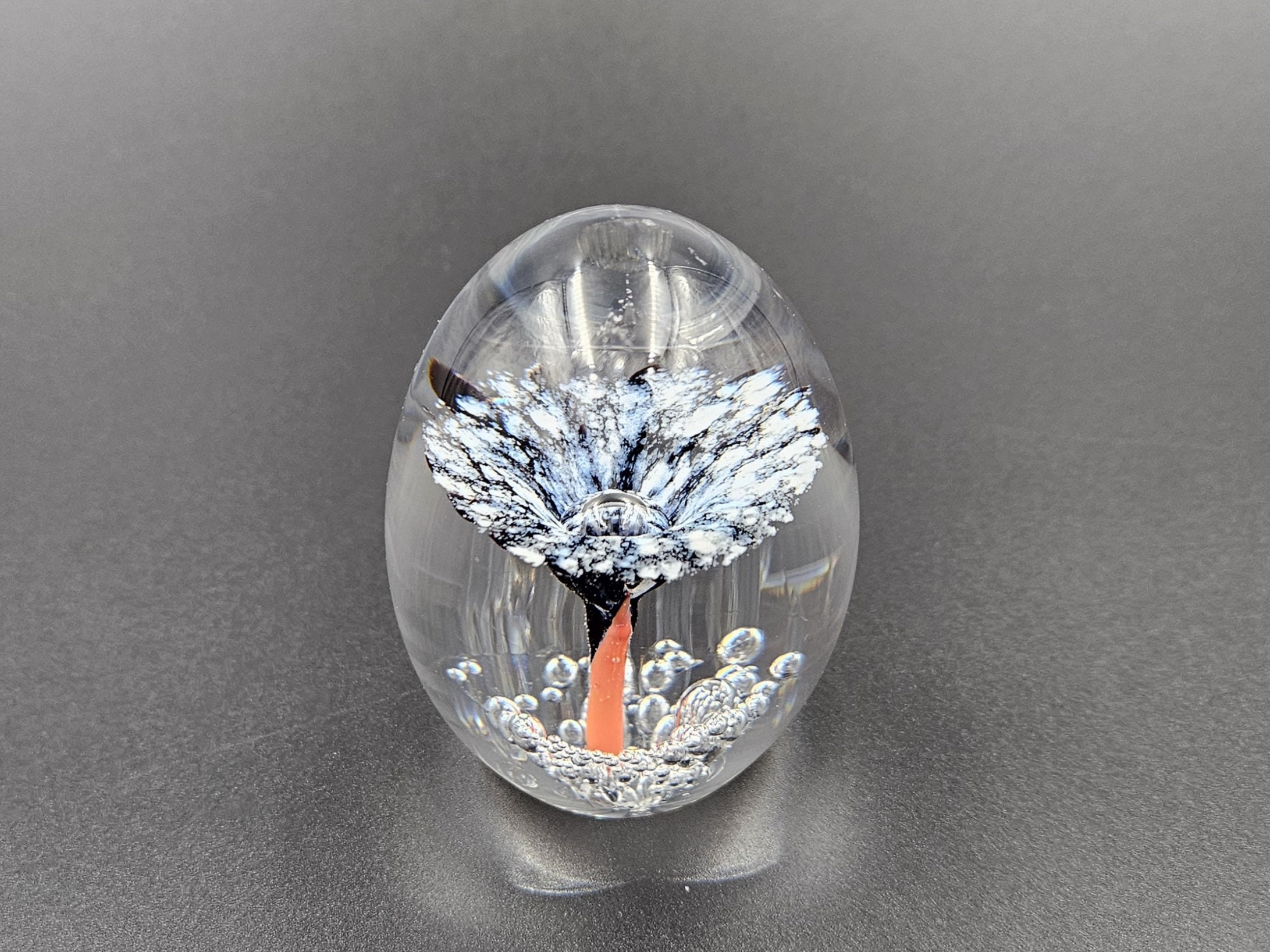 Daum France Paperweight Trumpet Flower - With Original Box - Etsy
