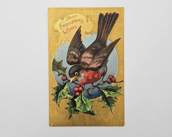 Postales navideñas de Bamforth Co., serie Pájaros de Navidad - Juego de cinco