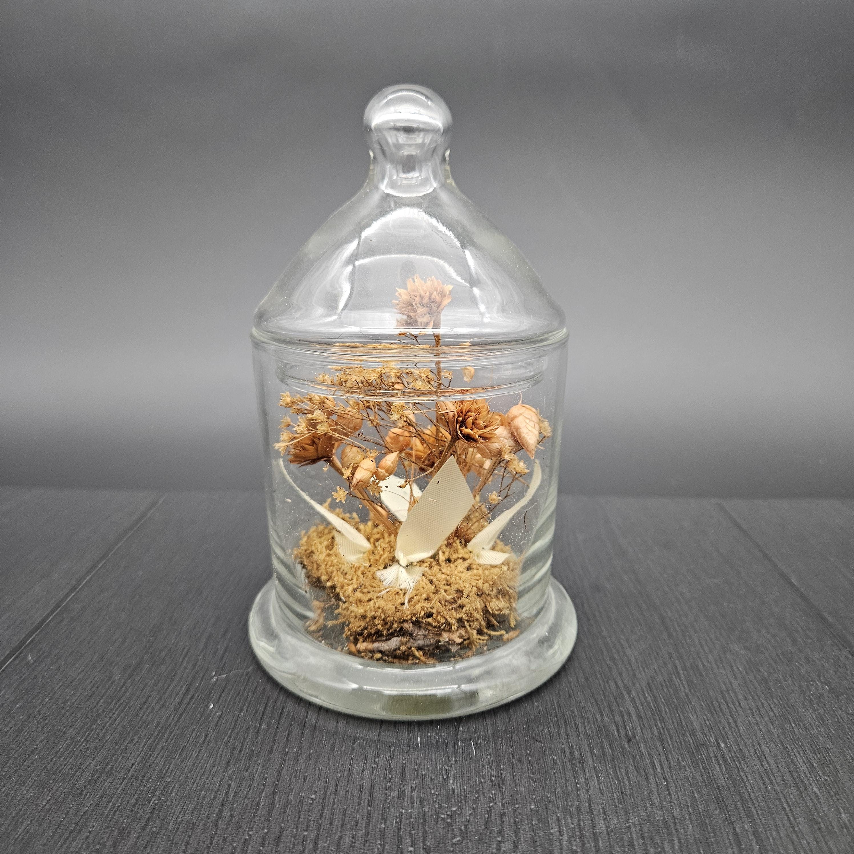 Vintage Dried Flower Terrarium in Clear Glass Apothecary Jar