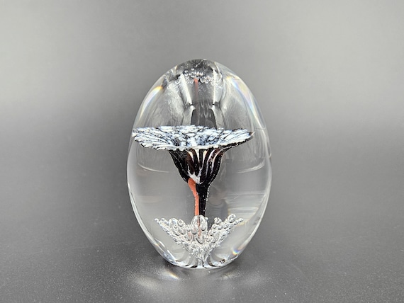 Daum France Paperweight Trumpet Flower - With Original Box - Etsy