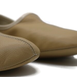 May include: A pair of tan leather ballet slippers with a pointed toe and a simple design.