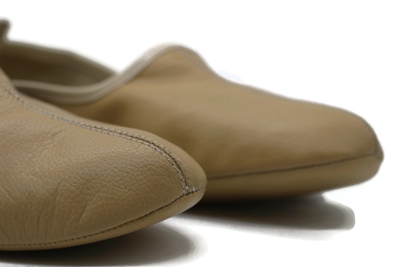 May include: A pair of tan leather ballet slippers with a pointed toe and a simple design.