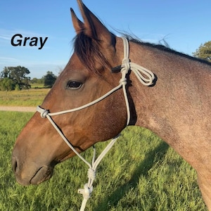 Horse Halter