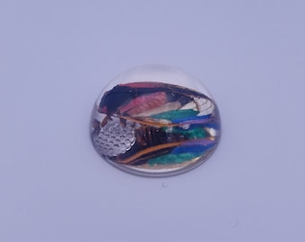 REAL Brood X Periodical Cicada with Rainbow PRIDE Wings Preserved in Resin