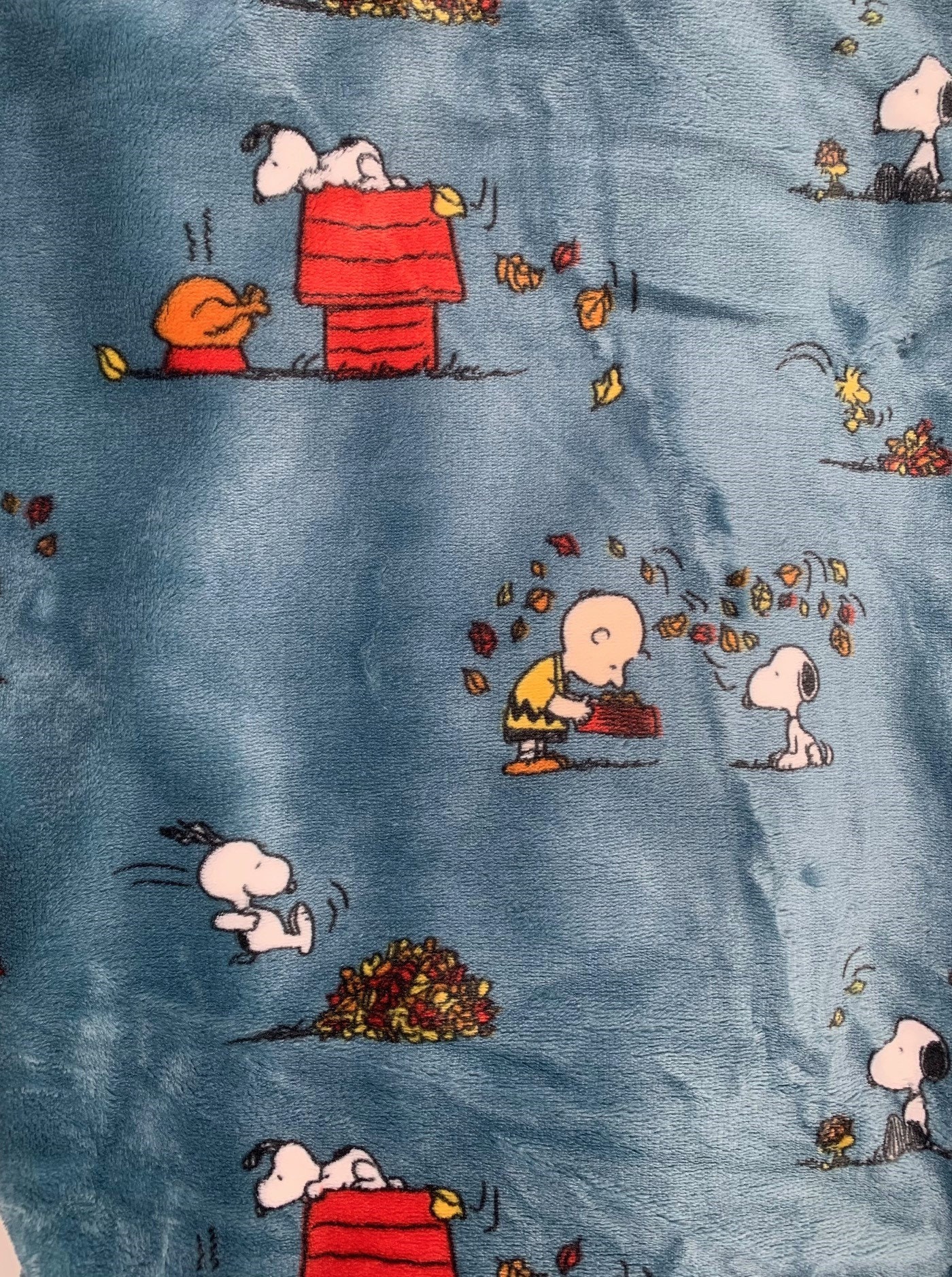 Peanuts Snoopy Fall Turkey Time Plush Throw Etsy