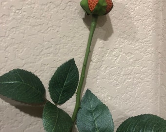 Long Stem Basketball or Football Roses