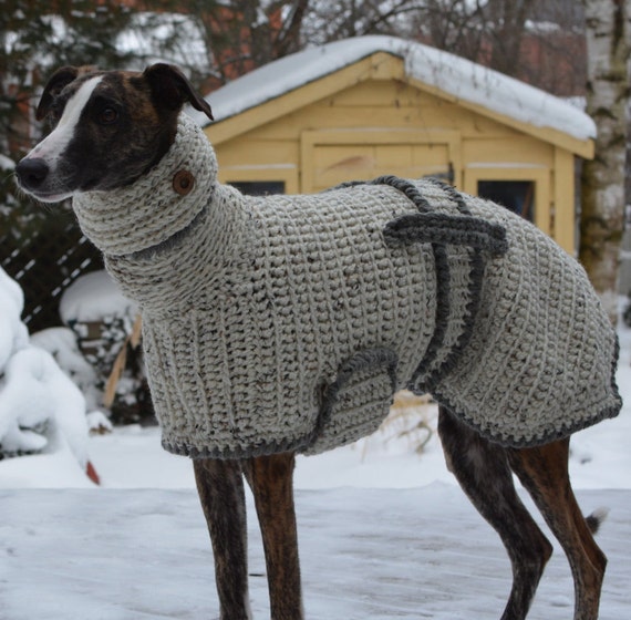 coat greyhound