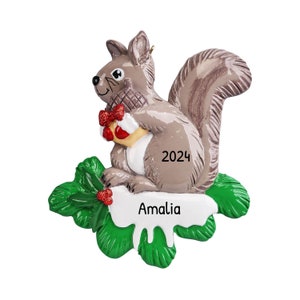 Personalized Squirrel Christmas Ornament - Squirrel Ornaments for Christmas Tree, Squirrel Tree Ornaments - Free Customization