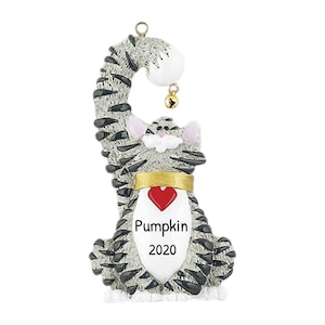 Personalized Pet Ornaments 2023 - Grey Cat Christmas Kitten Ornament Grey Kitty Heart Christmas Ornament - Free Customization