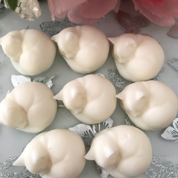 8 x  Cute Sleeping Cats Highly Scented wax melts - animal wax melts - 70 SCENTS -  Vegan friendly - Cruelty Free - cat lover