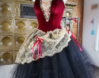 Professional Tutú, Esmeralda, Notre Dame de Paris, ballet dress