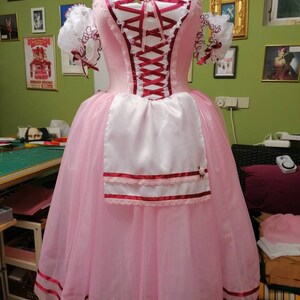 May include: A pink and white ballet tutu with a red ribbon bodice and a white apron. The tutu has a layered skirt with red ribbon trim and a white lace trim.