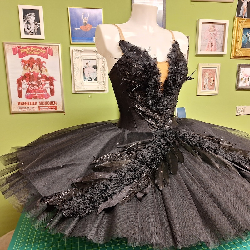 Swan Lake Costume - Etsy