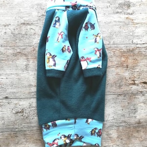 Dog Sweater, Dog Shirt, Pinscher Clothing, Dog Hoodie, Chihuahua Sweater