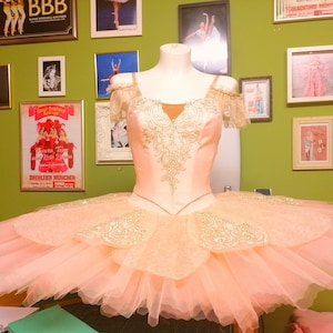 Professional ballet tutu with satin corset, Sleeping Beauty, Sleeping Beauty