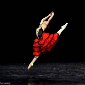 Professional tutu, Kitri Don Quixote, ballet dress
