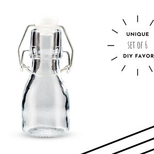 Set of 6 Glass Swing Top Favor Bottles - 2.5 oz Glass Bottles - DIY Party Favor - DIY Wedding Favor - Rustic Wedding - Engagement Party