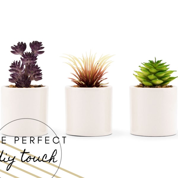 6 Pack Faux Succulents in Pots - DIY Wedding Favor - DIY Home Décor - DIY Wedding Centerpiece - Faux Potted Plants - Artificial Plant in Pot