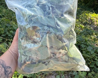 Dried  kudzu leaves for isopods 1 gallon