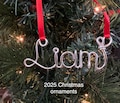 2025 Personalized Wire Name Christmas Ornament, Handmade ornament, Christmas Ornaments, family tree, Personalized ornament, name ornament product logo