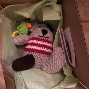 Puede incluir: Un animal de peluche gris de crochet con rayas rojas y blancas y una nariz marr&oacute;n. El animal de peluche est&aacute; sentado en una caja de cart&oacute;n con papel de seda verde. Un peque&ntilde;o loro de crochet verde est&aacute; sentado junto al animal de peluche.