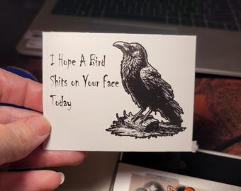 Funny Crow Vinyl Sticker: Laptop, Water Bottle, Cooler