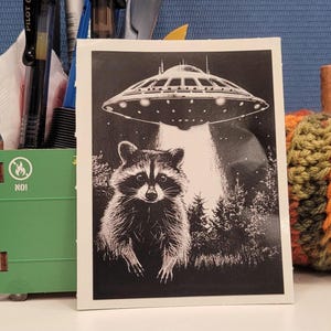 Raccoon and UFO Sticker: Eco-Solvent Permanent Vinyl
