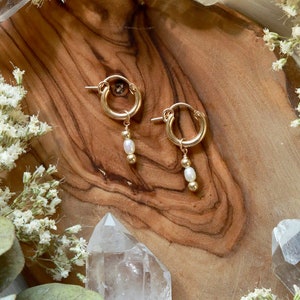 Pearl Drip Gold Huggies Earrings 14k Gold Filled Huggies 14k Gold Filled Beads Genuine Freshwater Pearl image 5