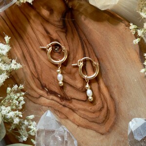 Pearl Drip Gold Huggies Earrings 14k Gold Filled Huggies 14k Gold Filled Beads Genuine Freshwater Pearl image 3