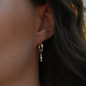 Pearl Drip Gold Huggies Earrings 14k Gold Filled Huggies 14k Gold Filled Beads Genuine Freshwater Pearl image 2