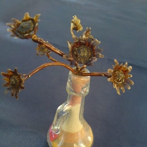 Desert Midget star, Blessing star, Judea desert mix color send Dead sea real Rose of Jericho exclusive original plant