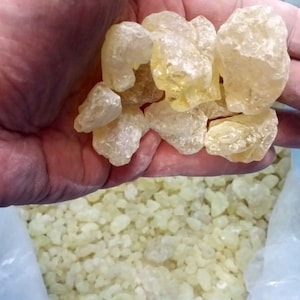 Lacrime di resina aromatica di incenso biologico 100% NATURALE di Gerusalemme, 200 grammi con carbone in omaggio