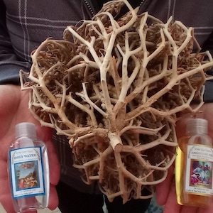Anointing oil+Jordan river holy water+XL Mary’s Rose ,Judea desert Dead sea real Rose of Jericho exclusive original plant of resurrection