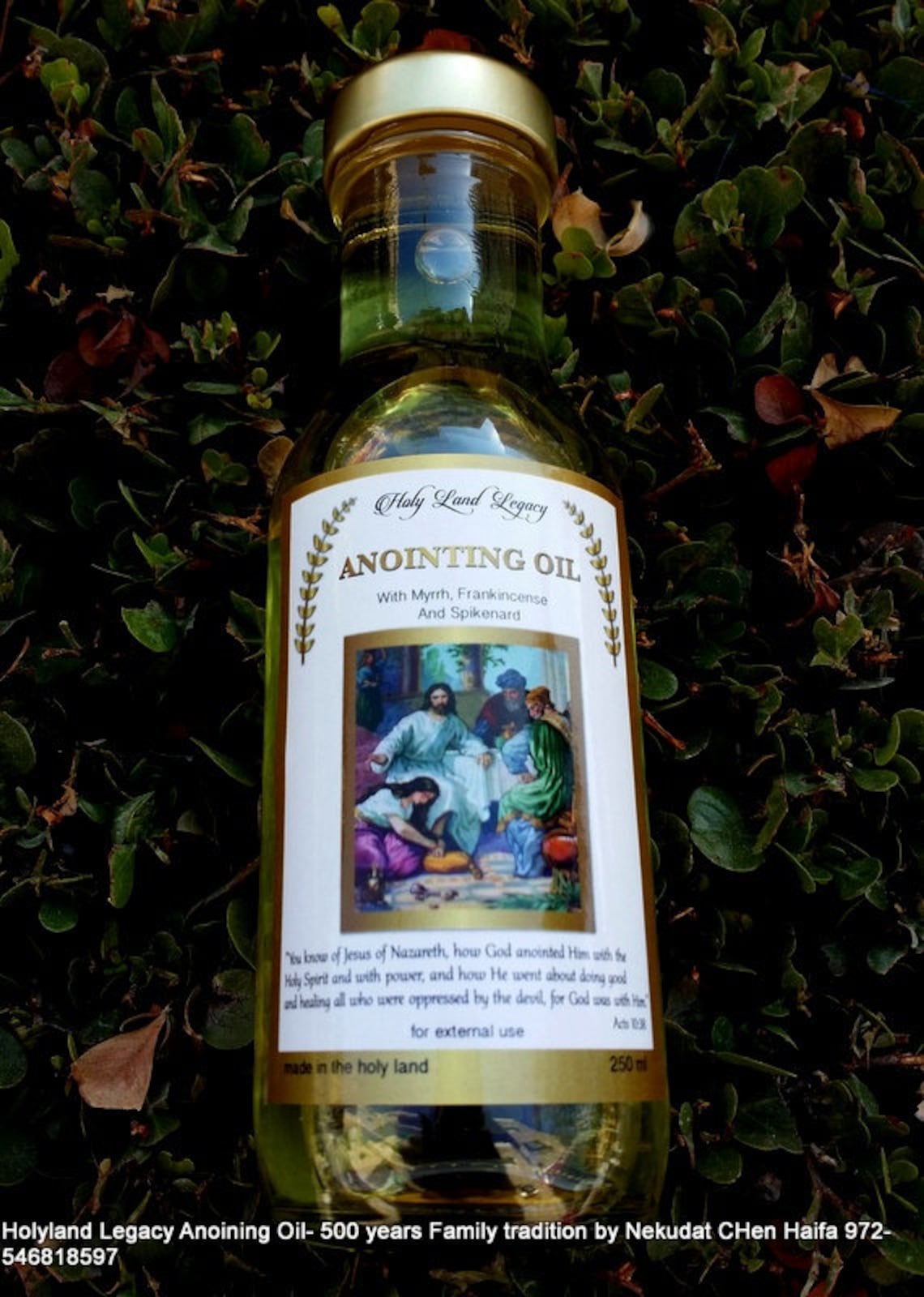 Anointing Oil From Jerusalem Pure Fresh Virgin Olive Oil Etsy UK