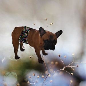Dog marking diapers hot sale