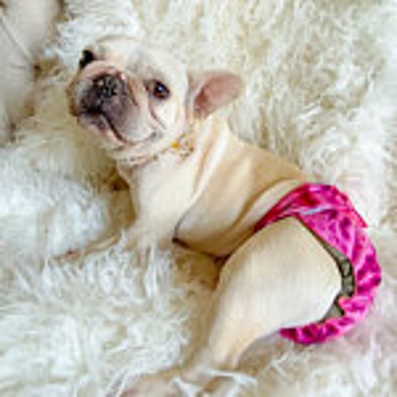 dog diapers for french bulldogs