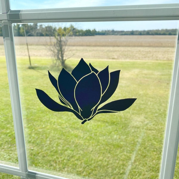 Saucer Magnolia Tree Etsy