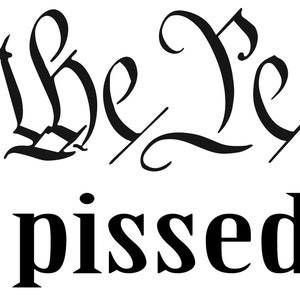 We The People are pissed off - Vinyl Decal
