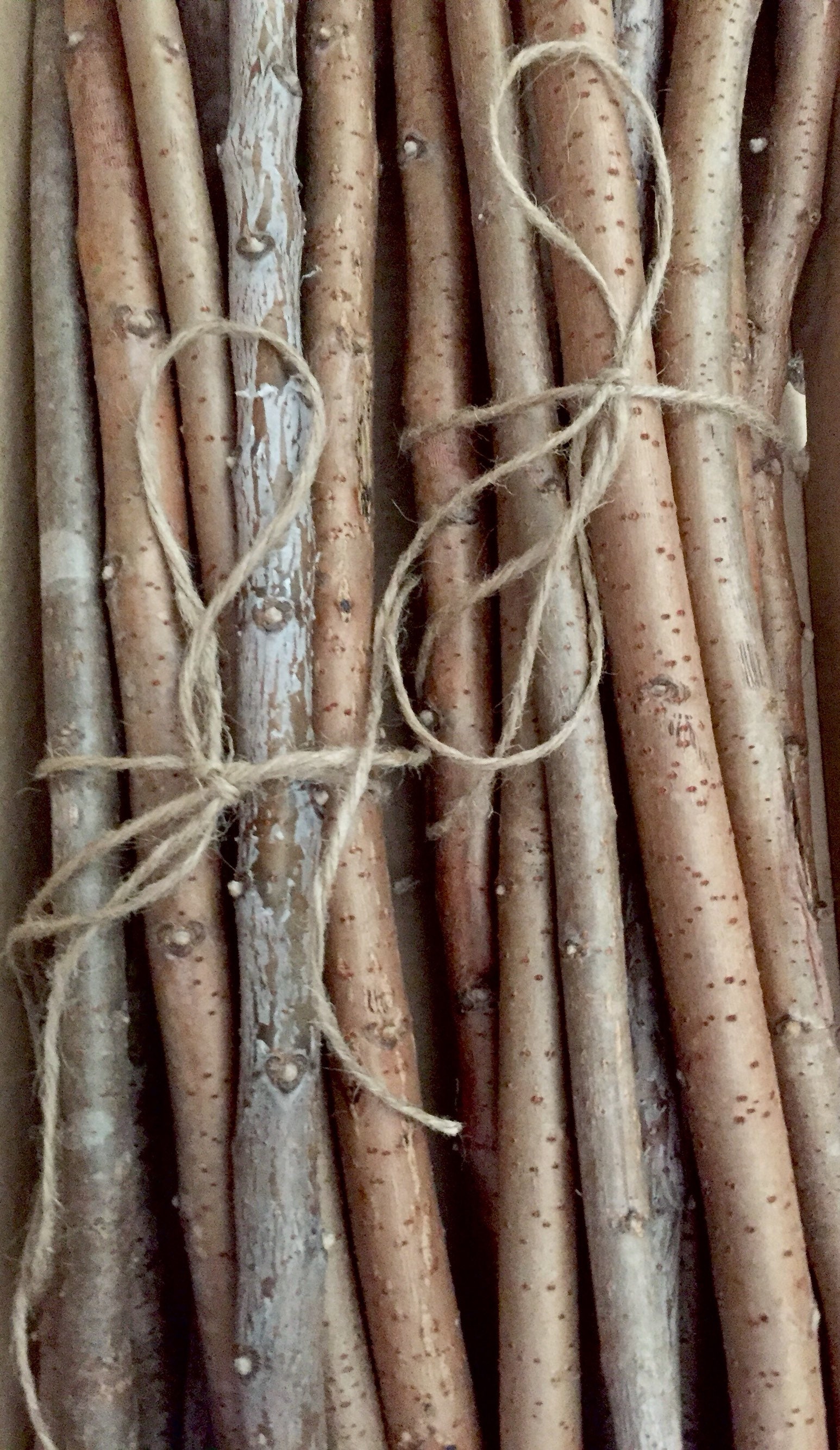 Craft sticks Decor Branches Wood Decor Decorative Logs Etsy
