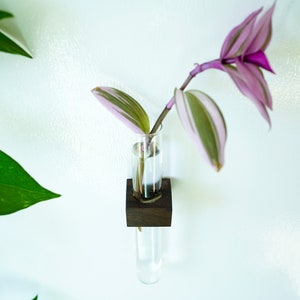 Magnetic Flower & Propagation Vase // FREE SHIPPING image 4