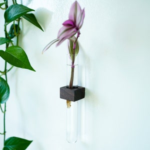 Magnetic Flower & Propagation Vase // FREE SHIPPING image 1