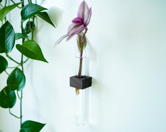 Magnetic Flower & Propagation Vase // FREE SHIPPING