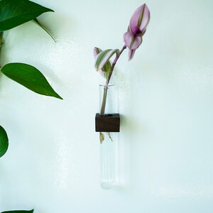 Magnetic Flower & Propagation Vase // FREE SHIPPING image 2