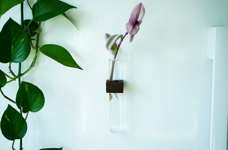 Magnetic Flower & Propagation Vase // FREE SHIPPING image 2